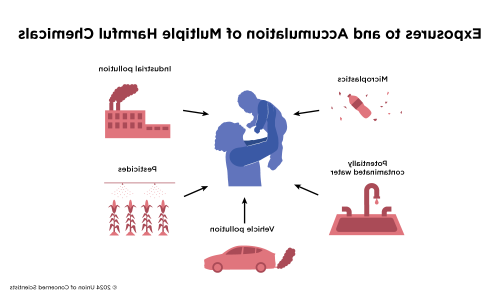 An image showing sources of chemical pollution, including industrial pollution, pesticides, vehicle pollution, water contamination and microplastics. 